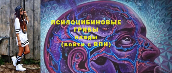 гидропоника Горнозаводск
