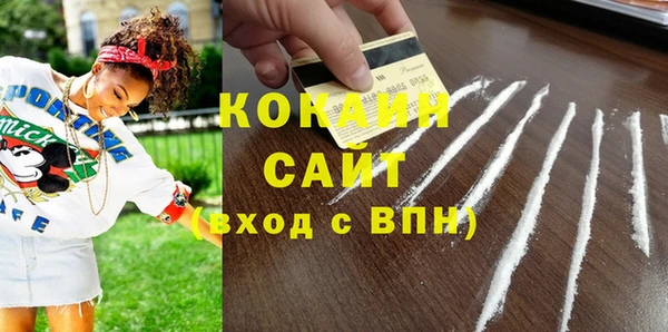 гидропоника Горнозаводск