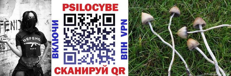 Купить  Яранск  Галлюциногенные грибы MAGIC MUSHROOMS 